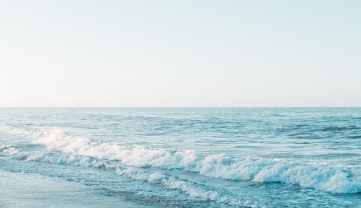 年末年始の営業のお知らせ(2024-2025)